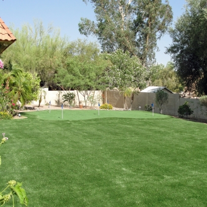 Artificial Grass Hymera, Indiana Home And Garden, Backyard Garden Ideas