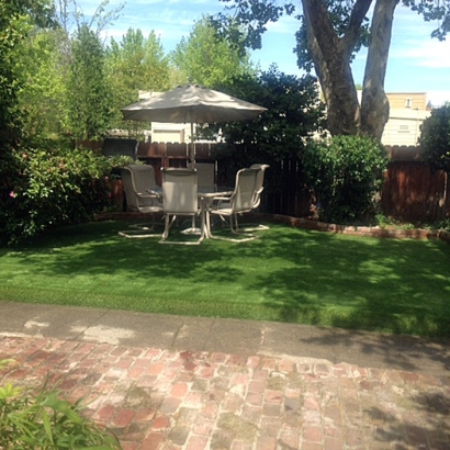 Artificial Grass Pennville, Indiana Landscaping, Backyard Design