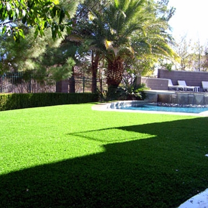 Artificial Grass Royal Center, Indiana Landscape Design, Backyard Landscaping