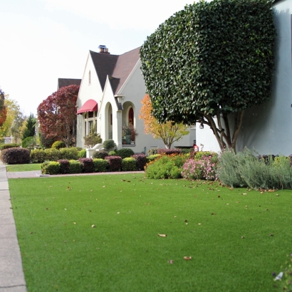 Artificial Grass Vincennes, Indiana Landscape Rock, Front Yard Landscaping Ideas