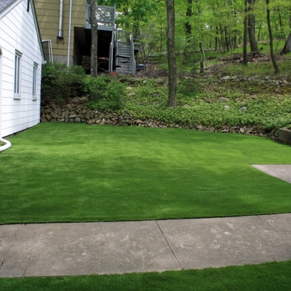 Artificial Lawn Loogootee, Indiana Lawns, Front Yard Ideas