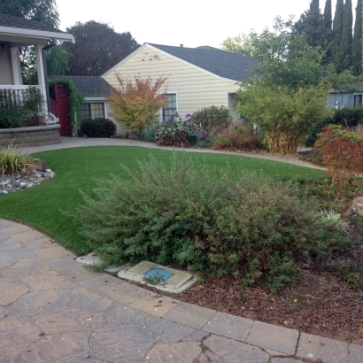 Artificial Lawn Winchester, Indiana Landscape Ideas, Front Yard