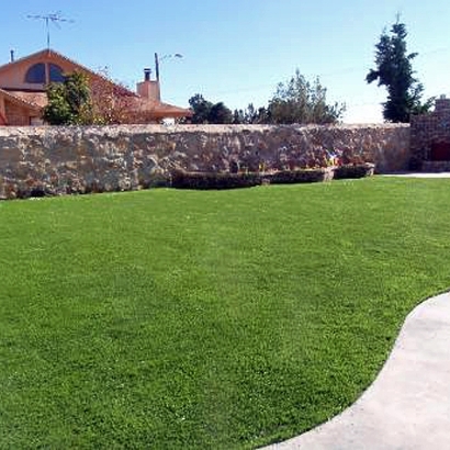 Artificial Turf Cost Argos, Indiana Design Ideas, Backyard Designs