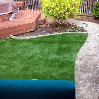 Artificial Turf Cost Palmyra, Indiana Home And Garden, Backyards