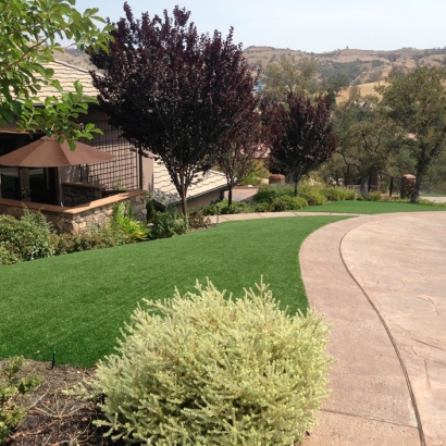 Artificial Turf Cost Sunman, Indiana Lawn And Garden, Front Yard Ideas