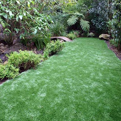 Artificial Turf Fortville, Indiana Gardeners, Backyard Landscape Ideas