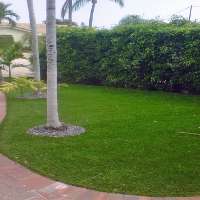 Artificial Turf Installation Linton, Indiana Gardeners, Front Yard Landscaping Ideas