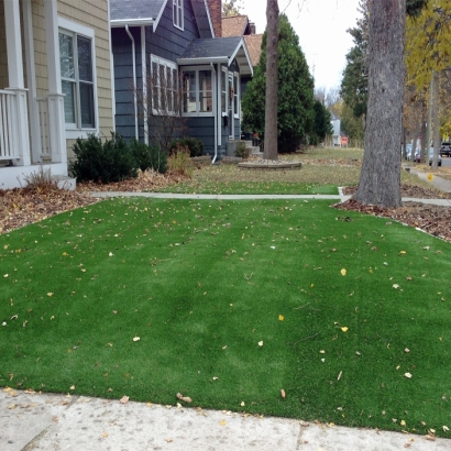 Artificial Turf Mexico, Indiana Roof Top, Front Yard Design