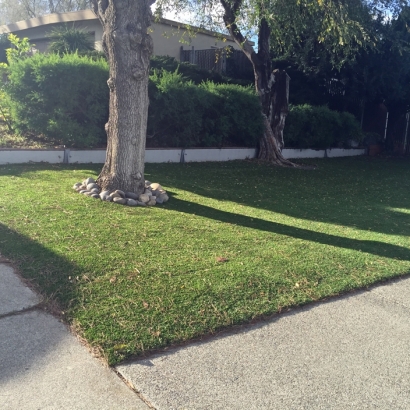 Artificial Turf Noblesville, Indiana Landscape Rock, Front Yard Design