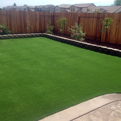 Artificial Turf Ridgeville, Indiana Lawn And Garden, Backyard Designs