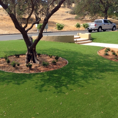 Best Artificial Grass Wheatfield, Indiana Rooftop, Front Yard Landscape Ideas