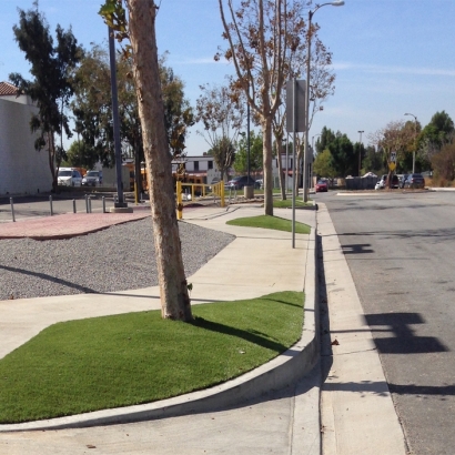 Fake Grass Carpet Bright, Indiana Gardeners, Commercial Landscape