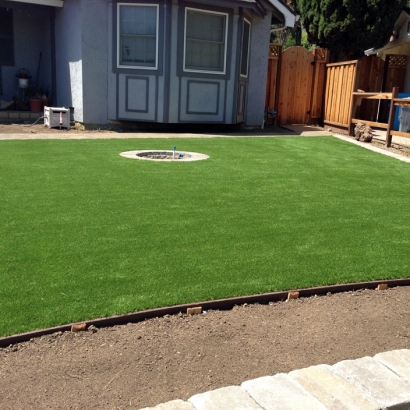 Fake Grass Carpet Covington, Indiana Landscape Ideas, Front Yard Landscaping Ideas