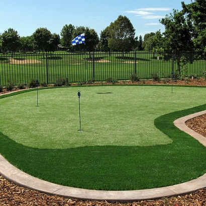 Fake Grass Carpet Homecroft, Indiana Roof Top, Backyard Ideas