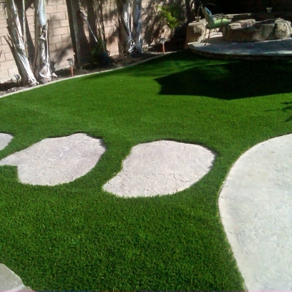 Fake Grass Carpet New Salisbury, Indiana Gardeners, Backyard Designs