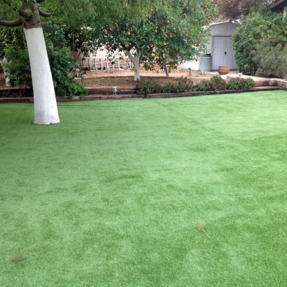 Fake Grass Carpet Trafalgar, Indiana Backyard Playground, Backyard Landscaping Ideas