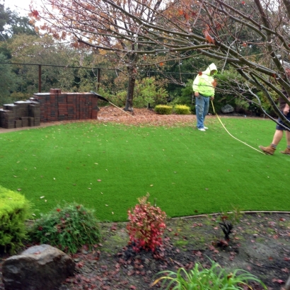 Fake Grass Centerville, Indiana Lawn And Garden, Backyard Landscaping