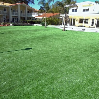 Fake Grass Markle, Indiana Design Ideas, Pool Designs