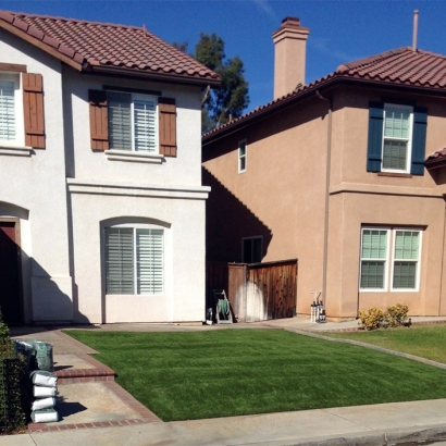 Fake Grass Milford, Indiana Rooftop, Front Yard Ideas