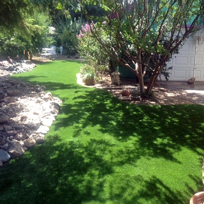 Fake Grass Tecumseh, Indiana Gardeners, Backyard Landscape Ideas