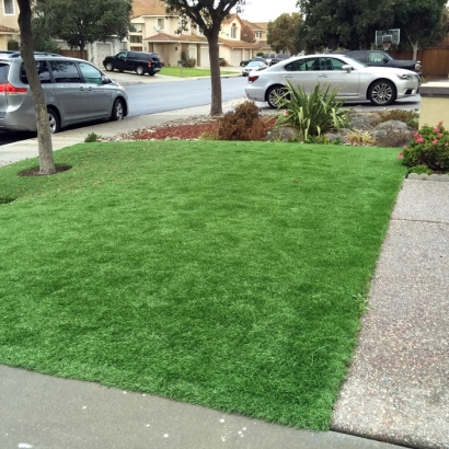 Fake Turf Oak Park, Indiana Paver Patio, Front Yard Design