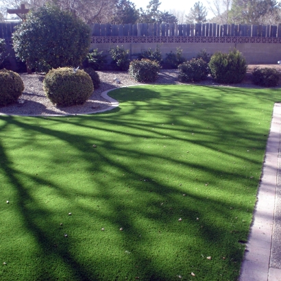 Faux Grass Oxford, Indiana Backyard Playground, Front Yard Ideas