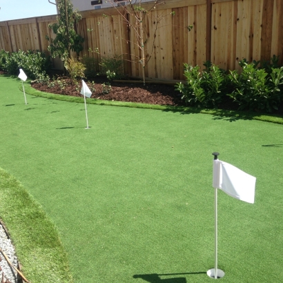 Grass Turf Dunkirk, Indiana Home Putting Green, Backyard