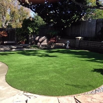 Outdoor Carpet Carthage, Indiana Backyard Playground, Backyards