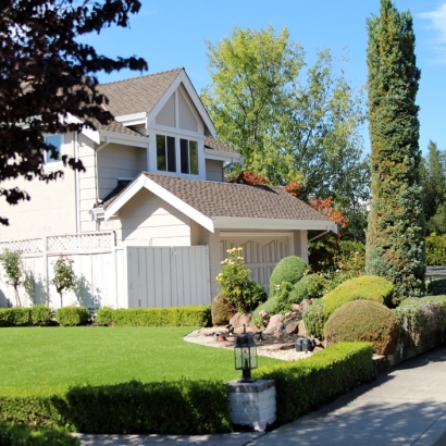 Outdoor Carpet Chesterfield, Indiana Rooftop, Front Yard Ideas