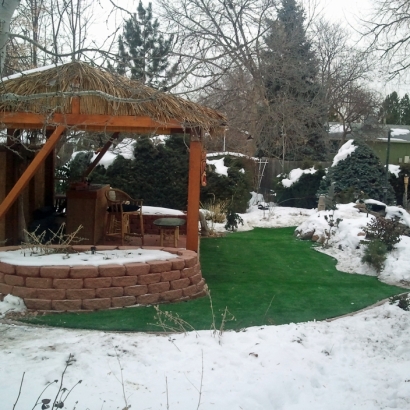 Synthetic Grass Cost Francesville, Indiana Gardeners, Backyard Designs