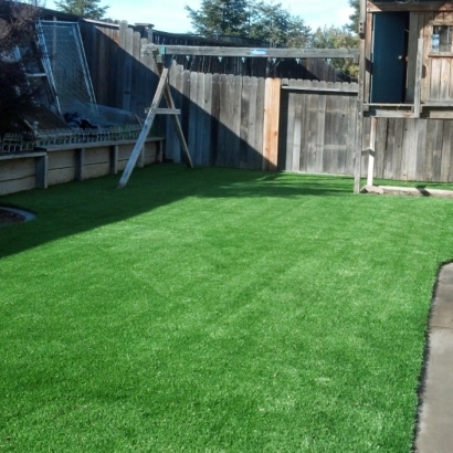 Synthetic Grass Pendleton, Indiana Garden Ideas, Backyard