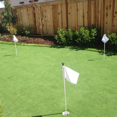 Synthetic Grass Whiteland, Indiana Golf Green, Backyard Makeover