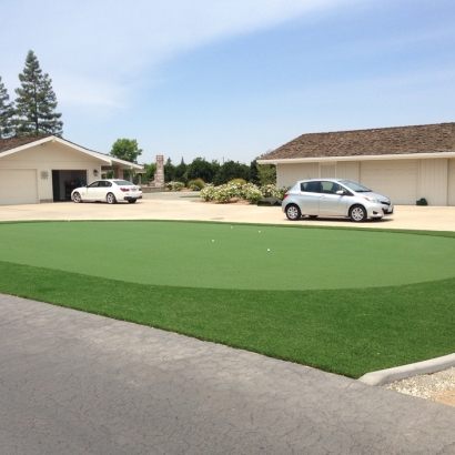 Synthetic Lawn Van Buren, Indiana Artificial Putting Greens, Front Yard Landscaping