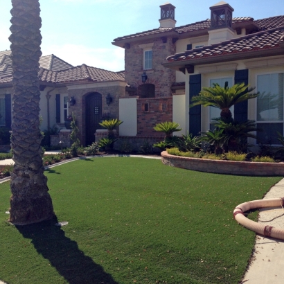 Synthetic Turf Osgood, Indiana Garden Ideas, Front Yard Landscape Ideas