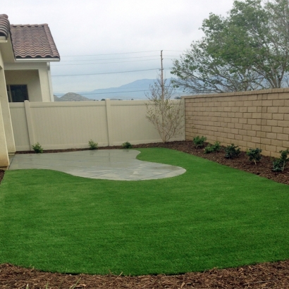 Synthetic Turf Roachdale, Indiana Backyard Playground, Backyards