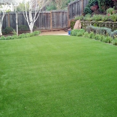 Synthetic Turf Supplier Memphis, Indiana Design Ideas, Backyard Landscaping Ideas