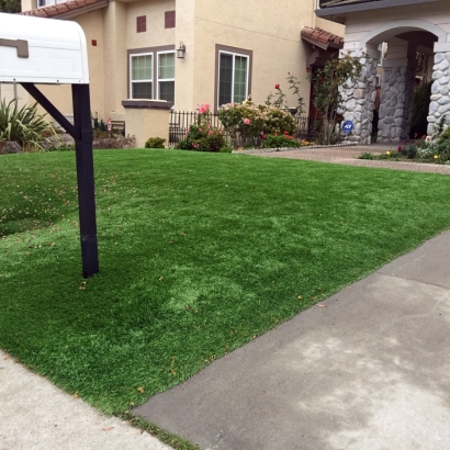 Turf Grass Medaryville, Indiana Landscape Design, Landscaping Ideas For Front Yard