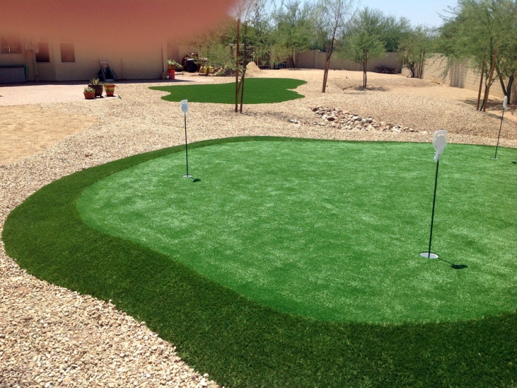 Artificial Grass Alexandria, Indiana Indoor Putting Green, Backyard Garden Ideas