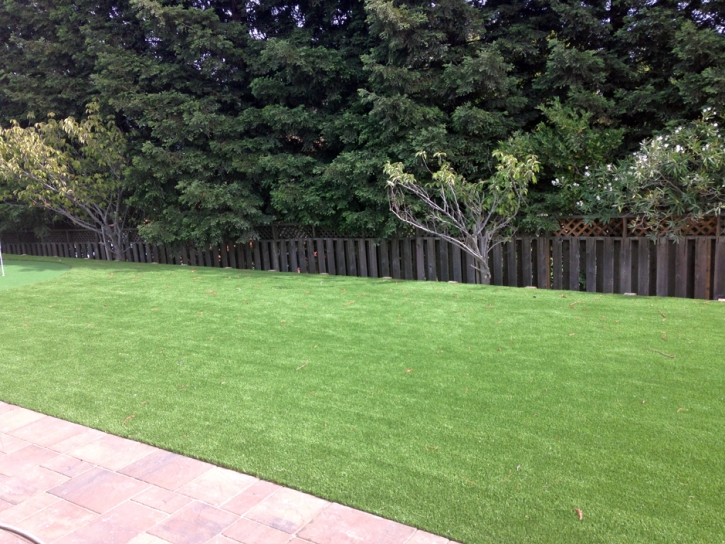 Artificial Grass Bloomington, Indiana Landscape Photos, Backyard Designs