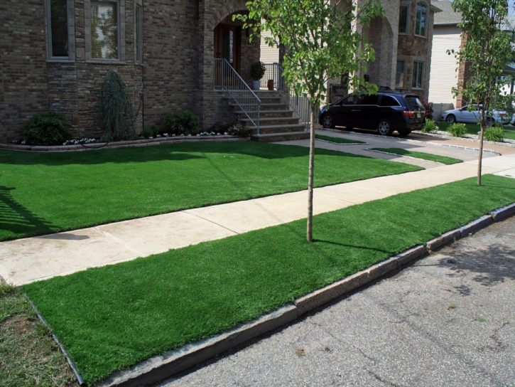 Artificial Grass Buffalo, Indiana Design Ideas, Front Yard