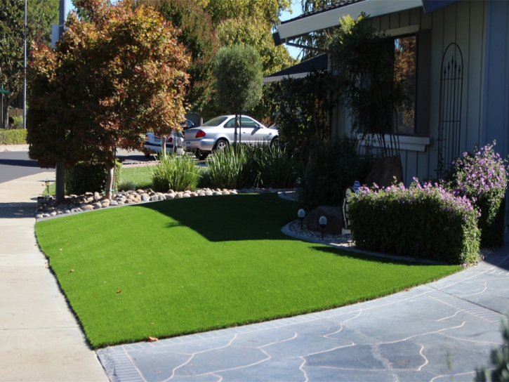 Artificial Grass Carpet Daleville, Indiana Home And Garden, Front Yard Ideas