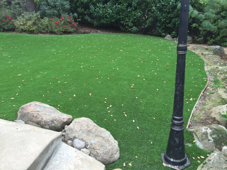 Artificial Grass Carpet Gosport, Indiana Landscaping, Backyard Ideas