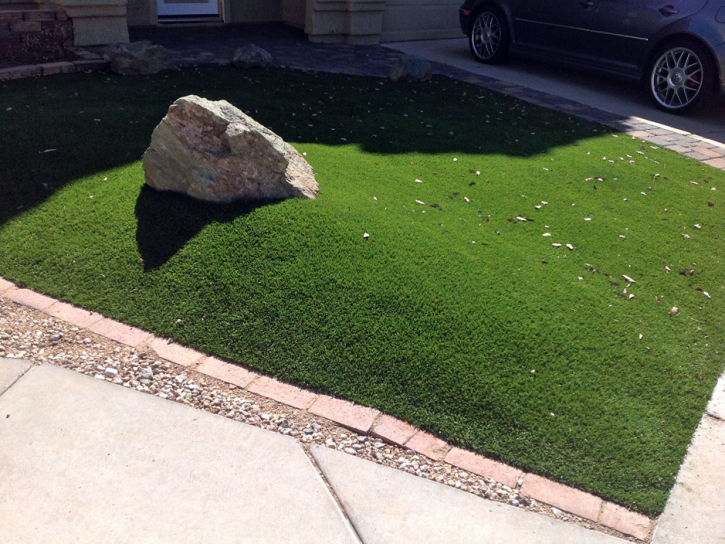 Artificial Grass Carpet Swayzee, Indiana Landscaping Business