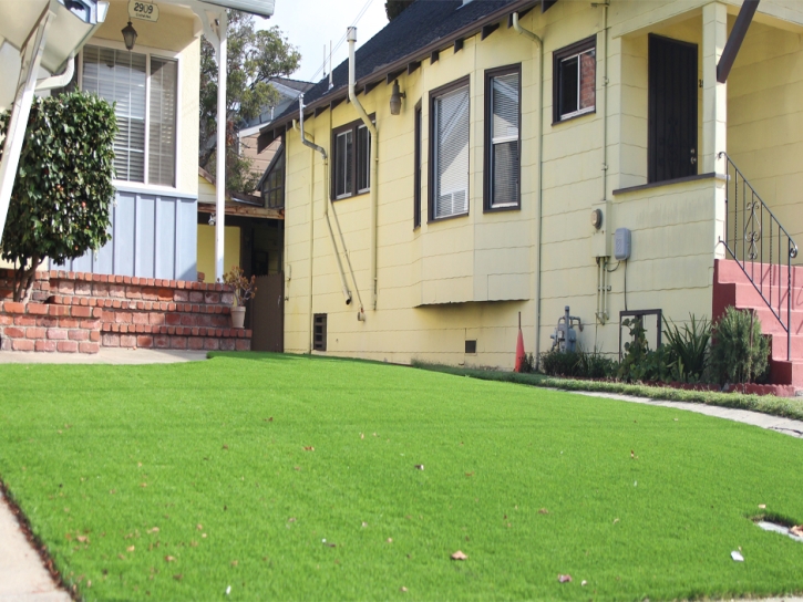 Artificial Grass Columbia City, Indiana Home And Garden, Front Yard Landscaping Ideas