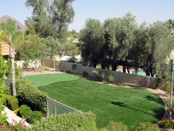 Artificial Grass Hymera, Indiana Home And Garden, Backyard Garden Ideas