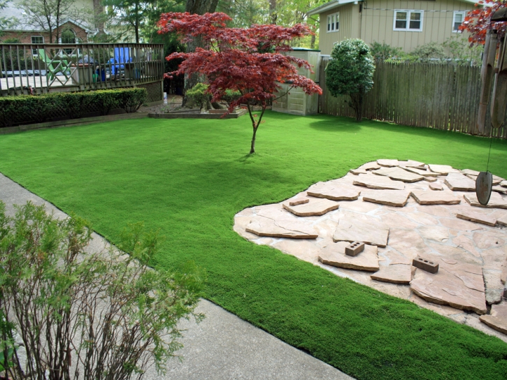 Artificial Grass Medaryville, Indiana Landscaping, Backyard