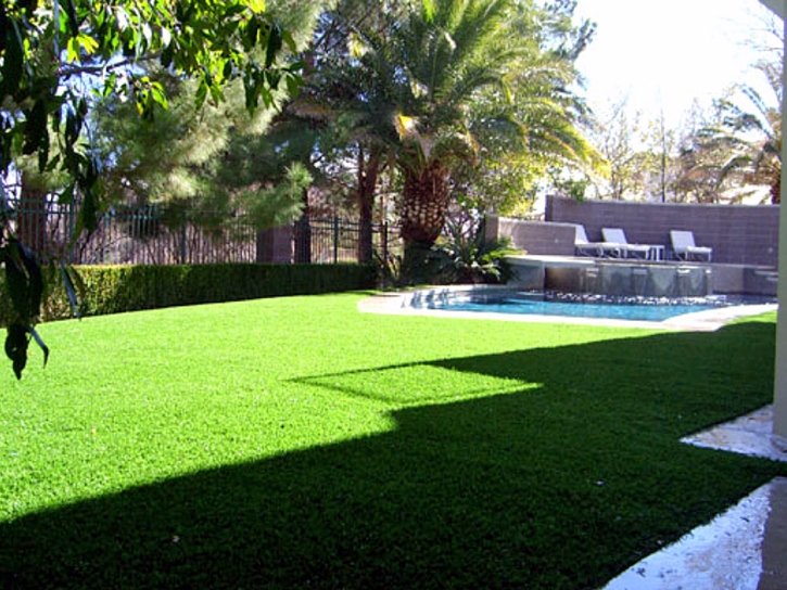 Artificial Grass Royal Center, Indiana Landscape Design, Backyard Landscaping