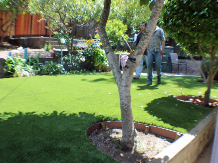 Artificial Grass Rushville, Indiana Rooftop, Backyard Landscaping