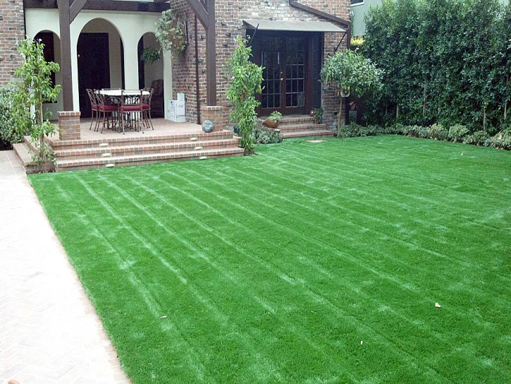 Artificial Grass Saint Mary-of-the-Woods, Indiana City Landscape, Small Front Yard Landscaping