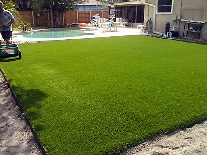 Artificial Grass Taylorsville, Indiana Landscape Rock, Backyard Pool